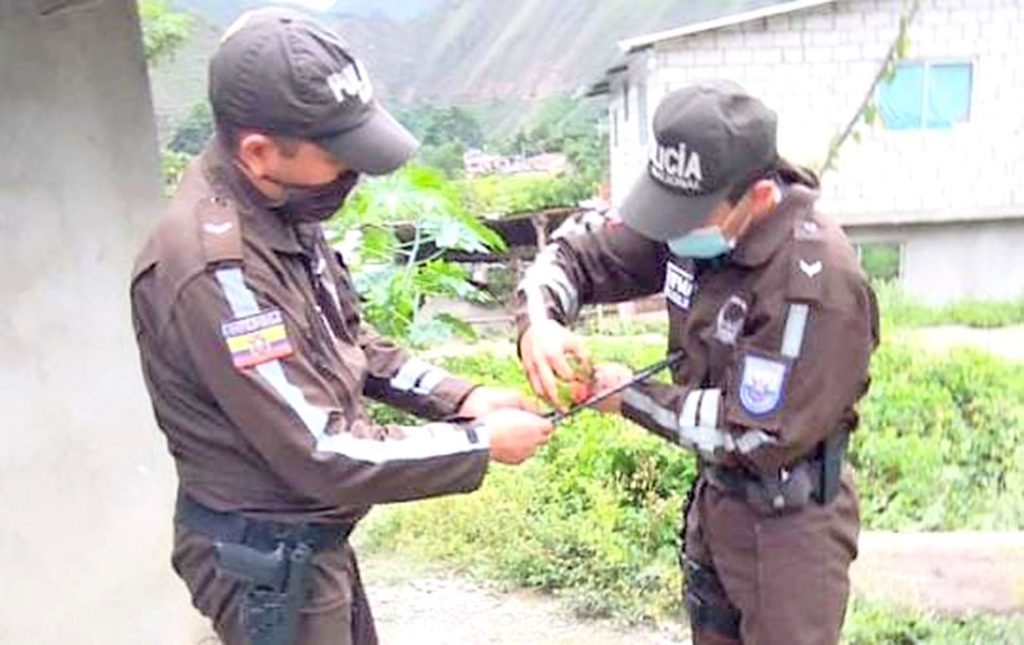Los animales serán devueltos a la naturaleza.