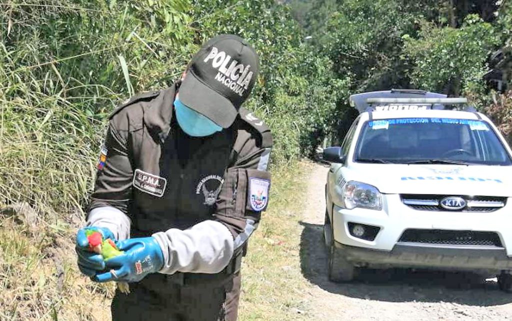Los controles son a diario en la ciudad y provincia de Loja.