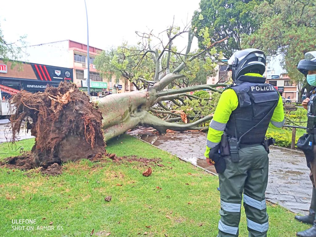 La Policía llegó para averiguar si existían personas heridas o daños en los vehículos.