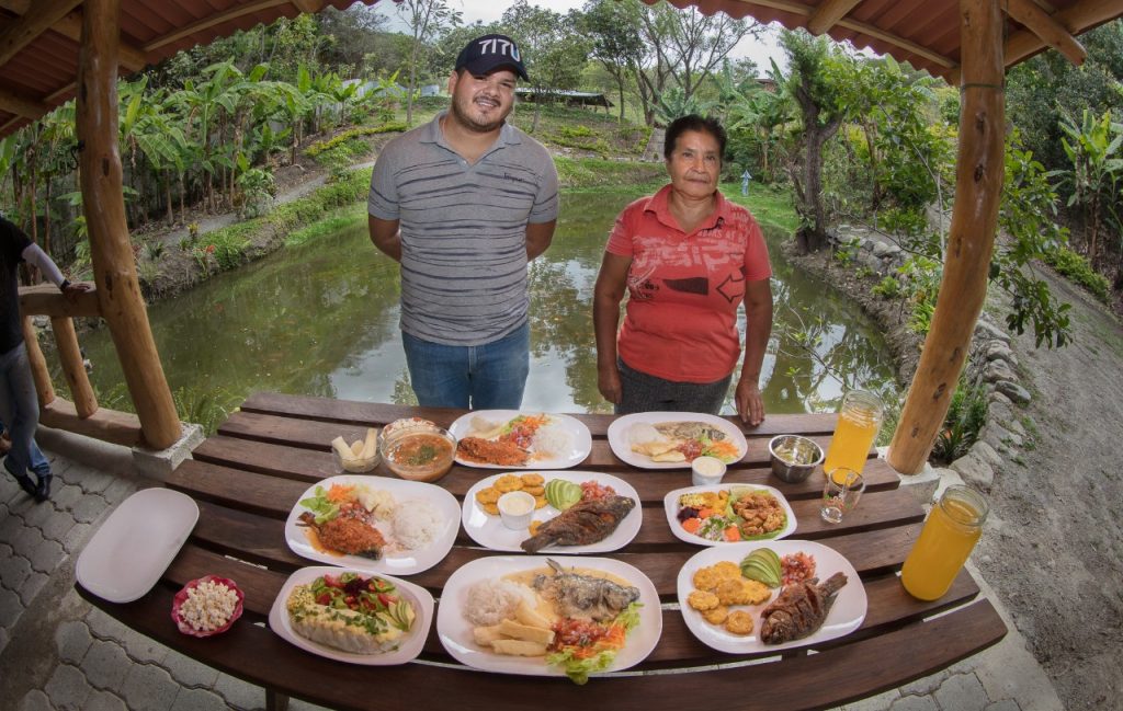 La producción de la tilapia gana espacio en las parroquias del noroccidente lojano.