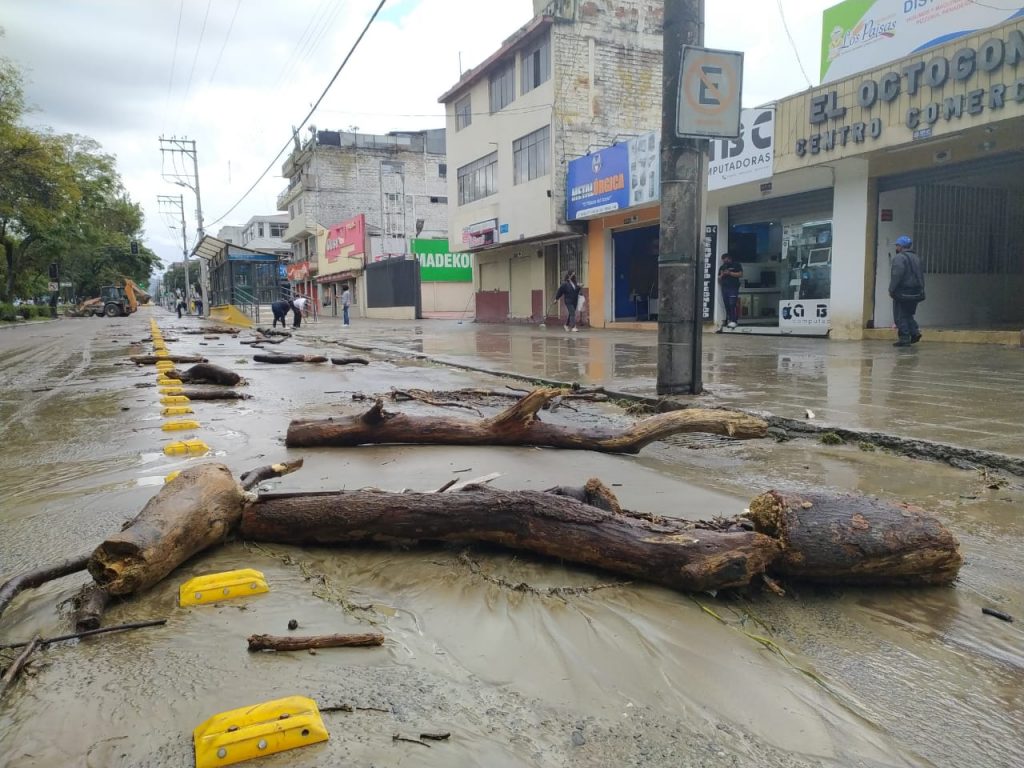 Tras el desbordamiento del río Malacatos, este miércoles 17 de marzo, troncos y otros desechos quedaron regados en la calzada de la avenida Manuel Agustín Aguirre.