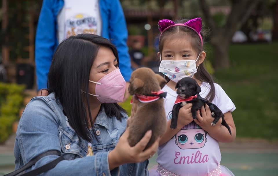 Los ejemplares son de distinta edad y tamaño.