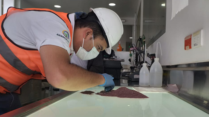 El mercado de Japón, según ILE, es el más exigente del mundo.