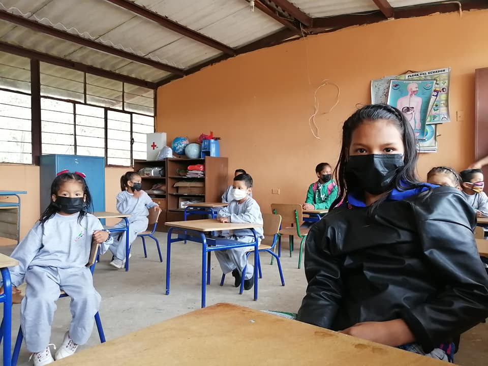 Los alumnos participaron de las clases, mayoritariamente, de forma virtual.