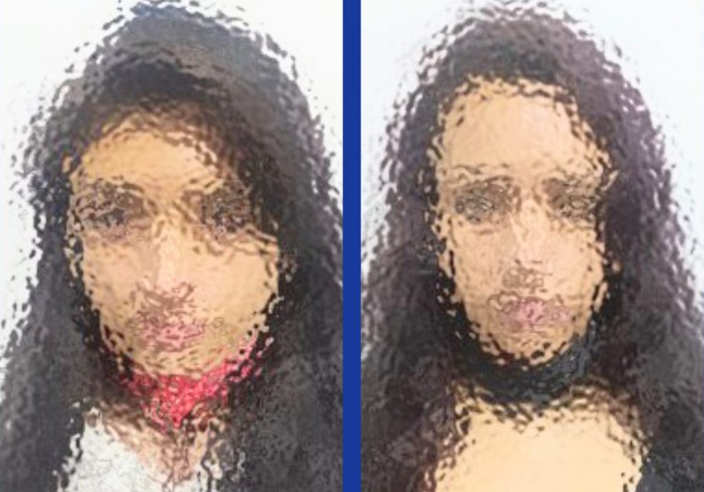 El último martes las dos mujeres fueron detenidas.