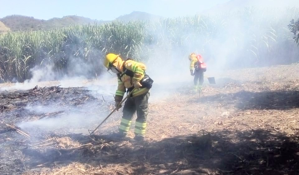 Cuatro casacas rojas intervinieron en el flagelo.