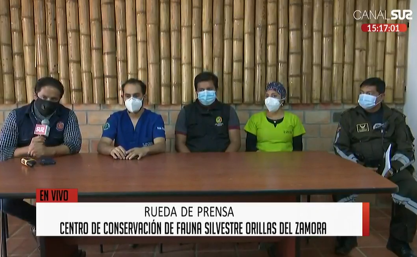 Funcionarios y veterinarios del zoológico y de la UNL ofrecieron una rueda de prensa.