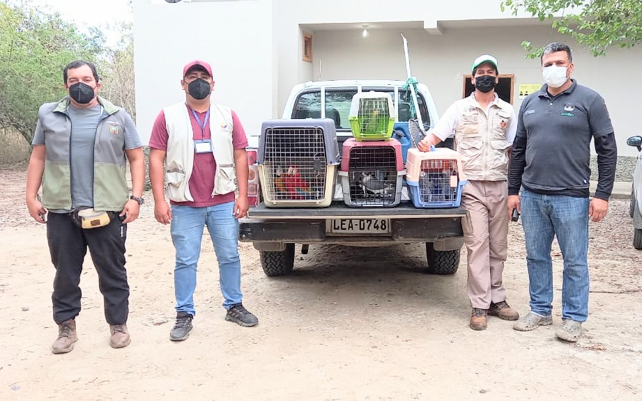 Los operativos para rescatar las especies son constantes.