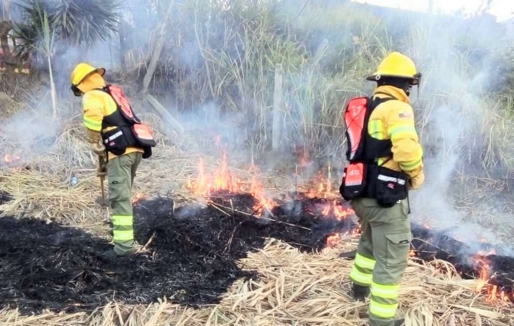 Azadones y batefuegos usaron los ‘casacas rojas’ para aplacar las llamas.