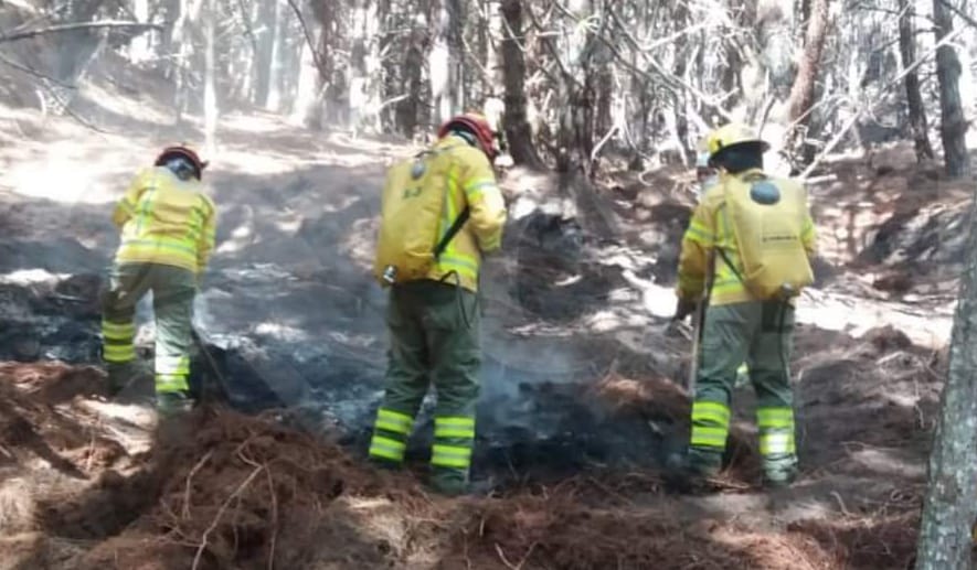 Los bomberos acuden al lugar en varios grupos.