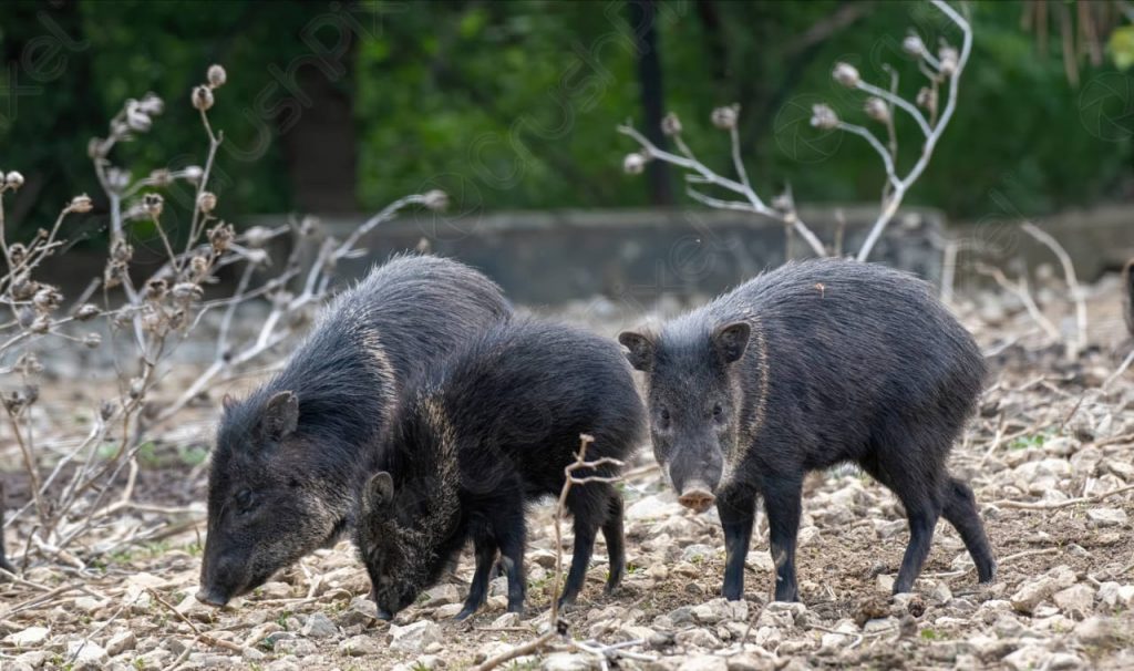 La acción se cumplió mediante un trabajo en conjunto.