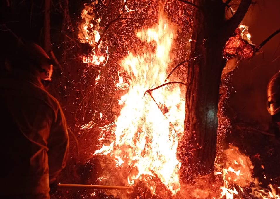 Las llamas alcanzaron un volumen considerable, alimentadas por los vientos de agosto.
