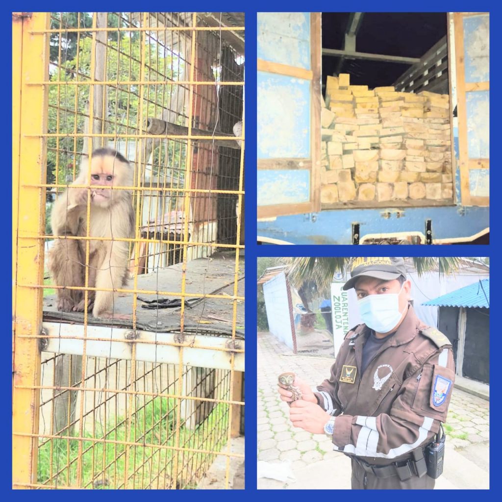 La labor de los policías se realiza a diario en toda la provincia de Loja.