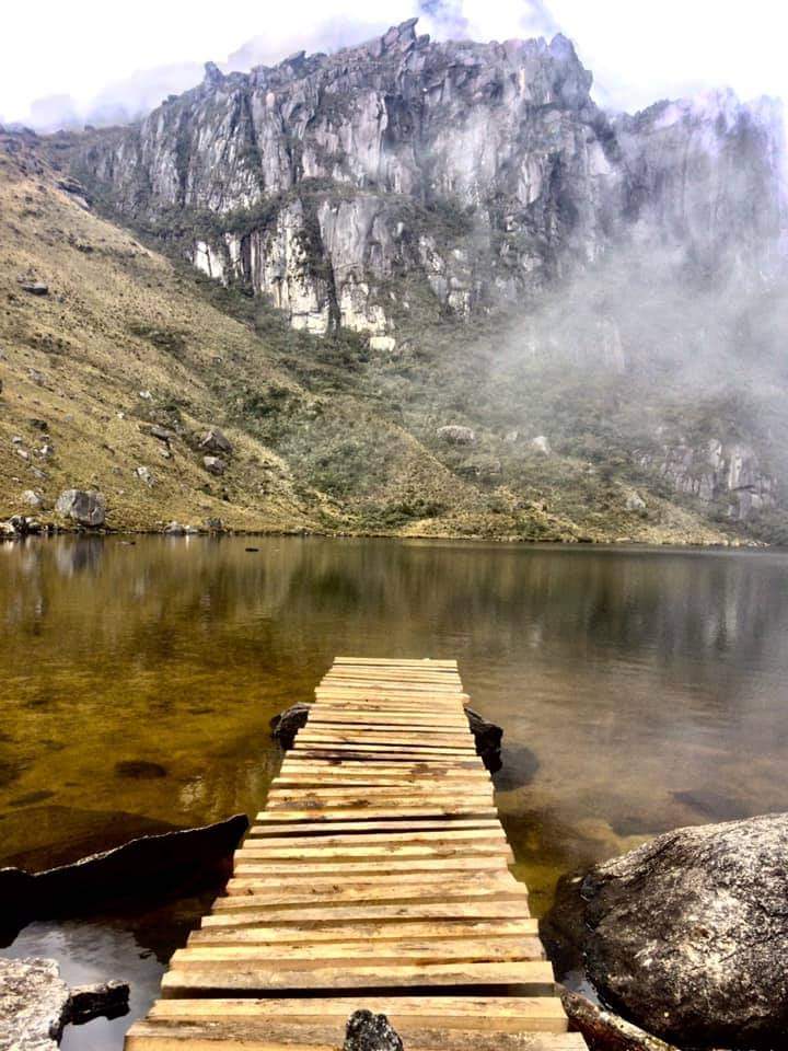 El espacio es protegido para que se mantenga la armonía y vida natural.