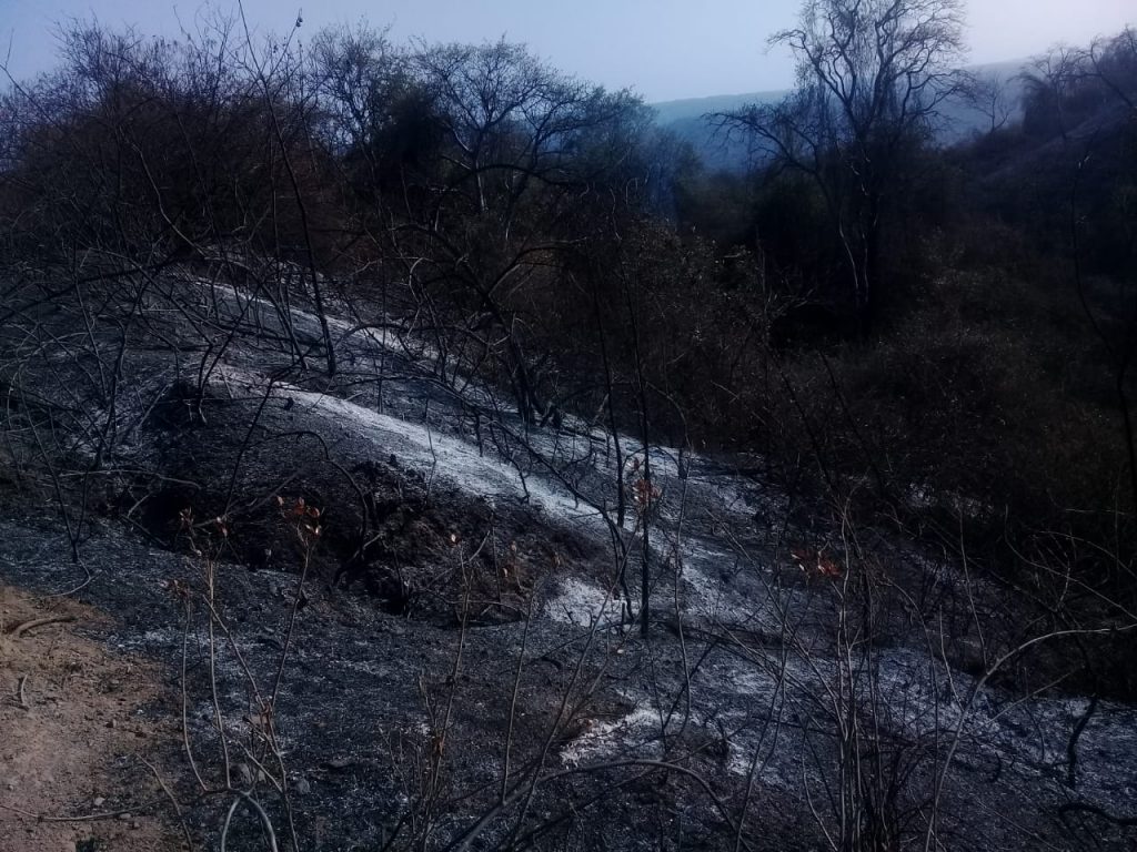 Un estado deprimente en la zona es el que se ve y siente, dada la voracidad de las llamas.