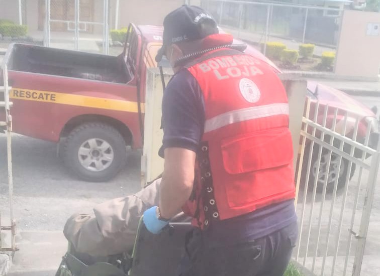 El adulto mayor está fuera de peligro.