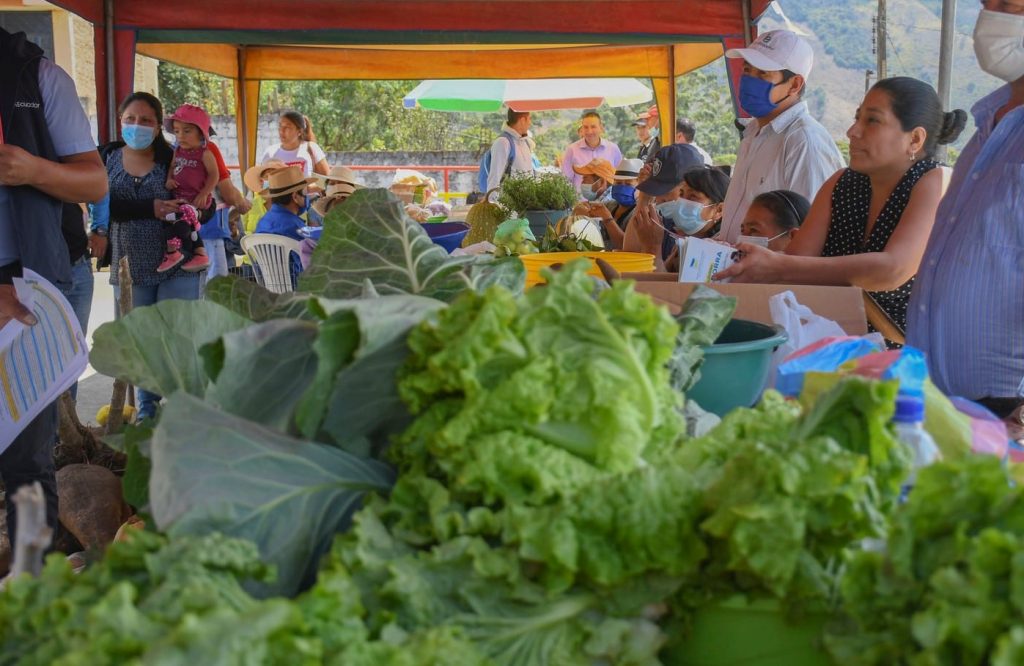 El sector agricultor es uno de los que podría acceder a este tipo de crédito.