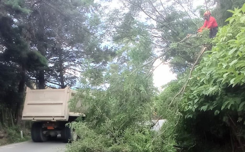 Cuatro bomberos acudieron a la alerta.