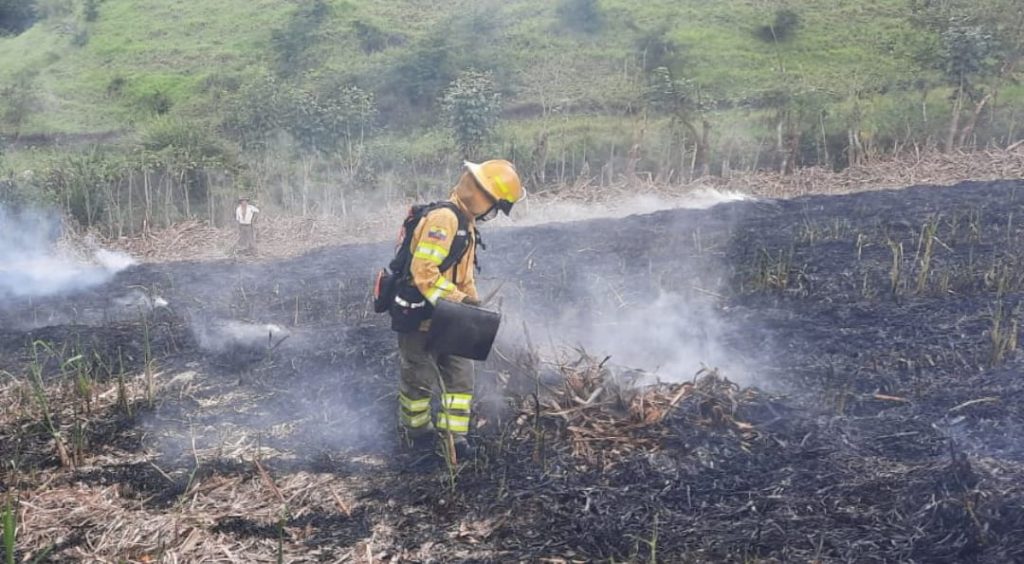 Una hora y media tomó a los bomberos aplacar las llamas del incendio forestal.