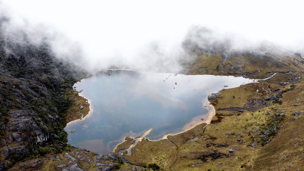 Existe una biodiversidad de flora y fauna.