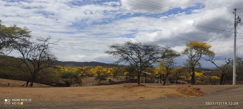 Un gran número de turistas visitaron las distintas parroquias.