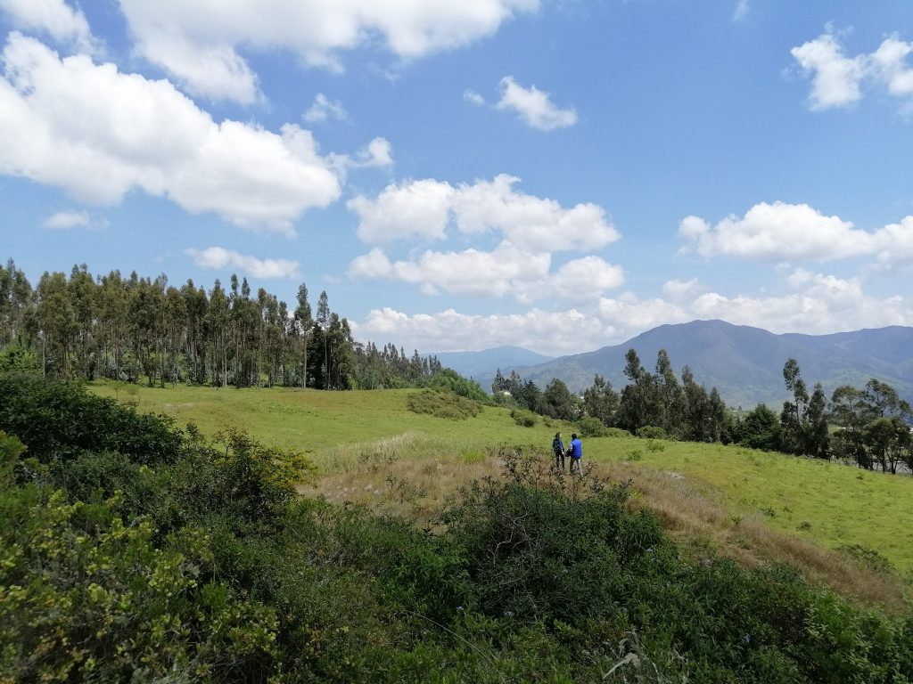 Los terrenos donde se prevé construir el campus están ubicados en Carigán.