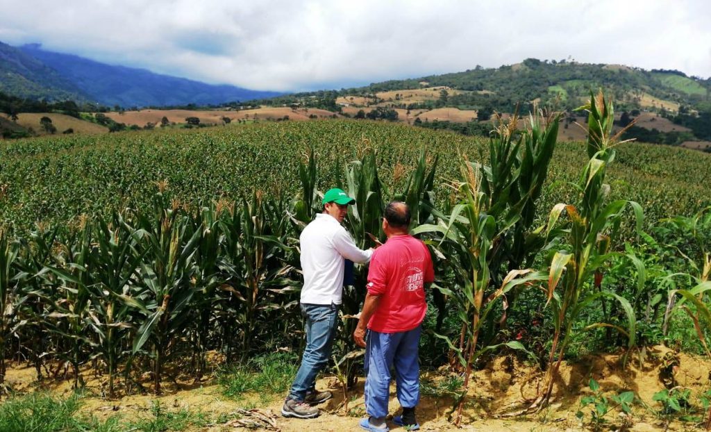 La expectativa es alta para este año.