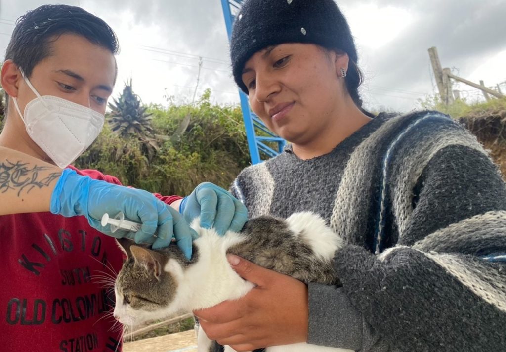 Hubo receptividad por parte de los propietarios de los ejemplares.