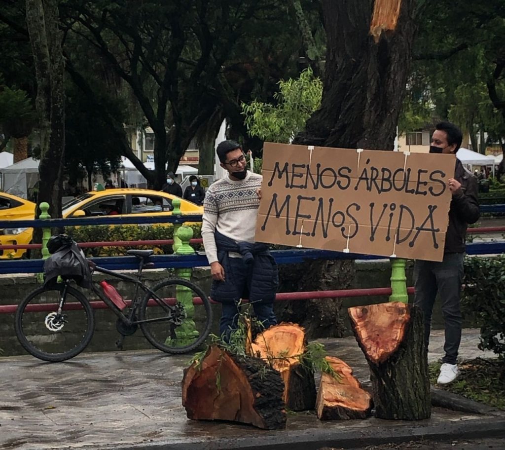Los integrantes de varios colectivos protestaron la semana anterior, luego que el Municipio talara los árboles.