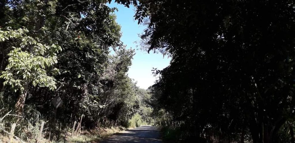 En el sector San Francisco, a cinco kilómetros de Pindal (fotografía) se habría cometido el asalto y robo.