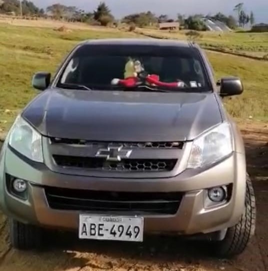 Esta es la camioneta robada, en Urdaneta.
