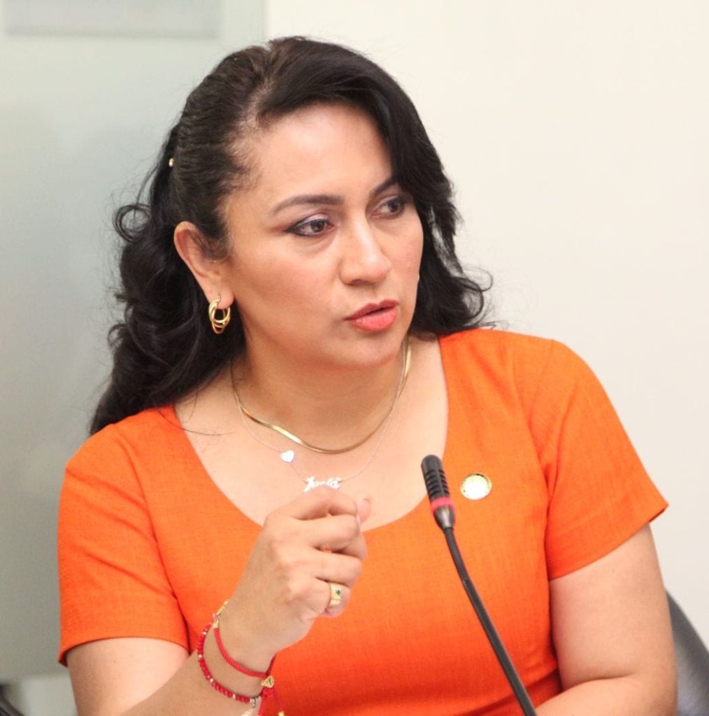 Lucía Placencia Tapia es la asambleísta por Loja.