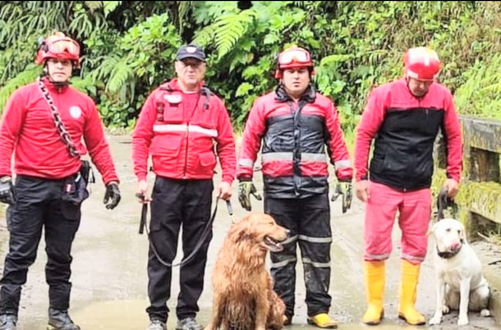 Desde ayer se sumaron a la búsqueda.