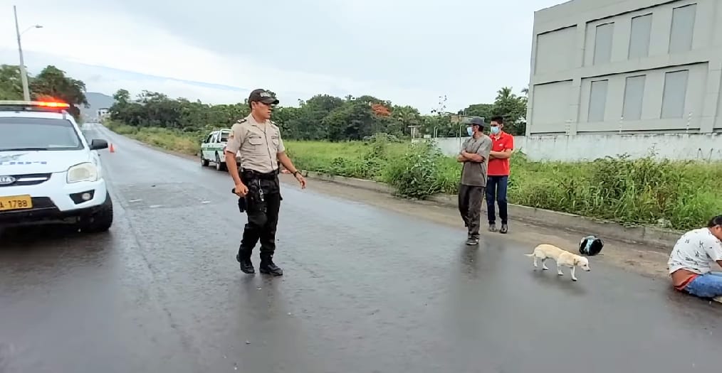 El herido quedó tendido sobre la calzada.