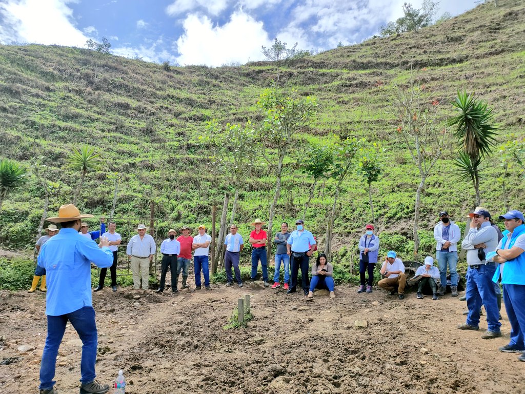 Se hizo un trabajo en el campo para conocer mejorar las bondades de los pastos.