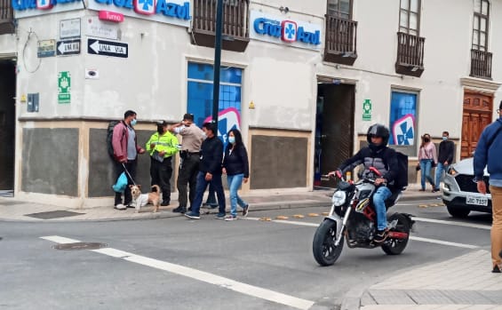 En toda la urbe se realizan los operativos.