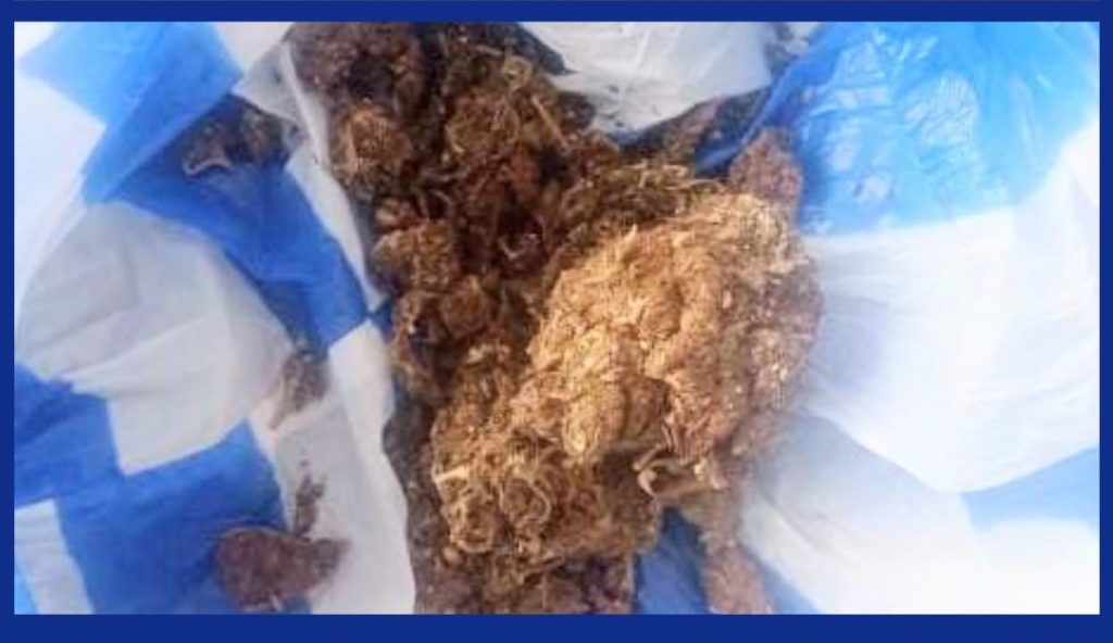 El viernes y el sábado últimos se realizaron esos operativos.