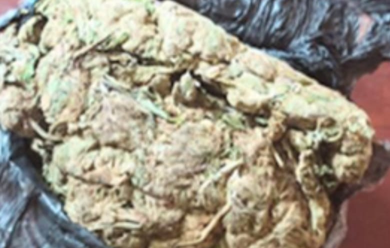 El peso neto de la marihuana es de 32 gramos.