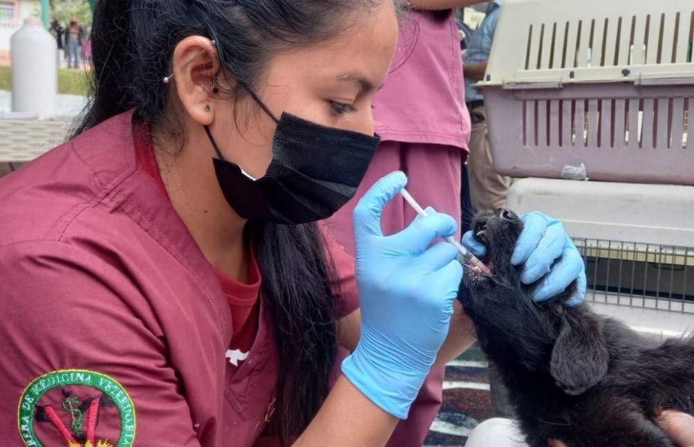 Durante la jornada habrá el servicio gratuito de desparasitación de mascotas.