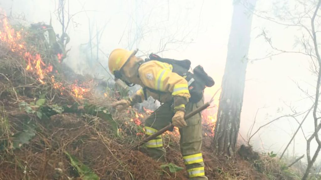 Una disminución significante en hectáreas quemadas fue en Loja, Imbabura y Carchi en donde los bomberos han intervenido.