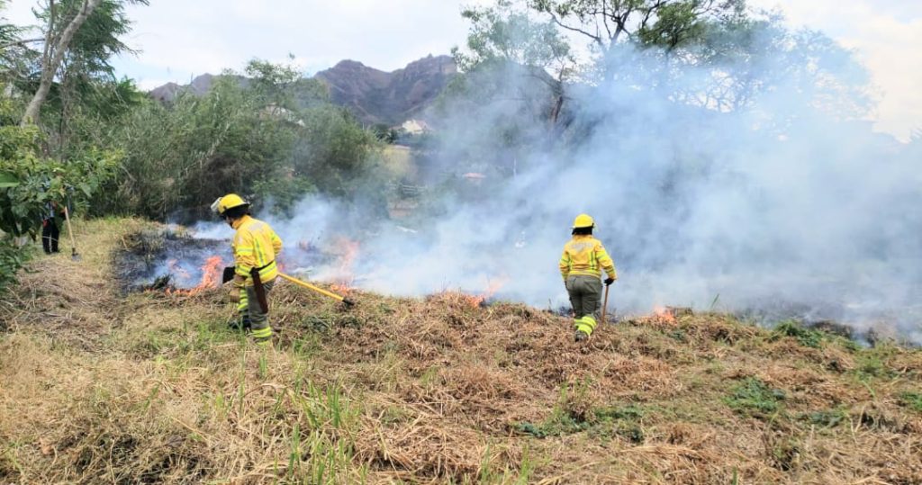 Unos 40 minutos duró la intervención de los bomberos.