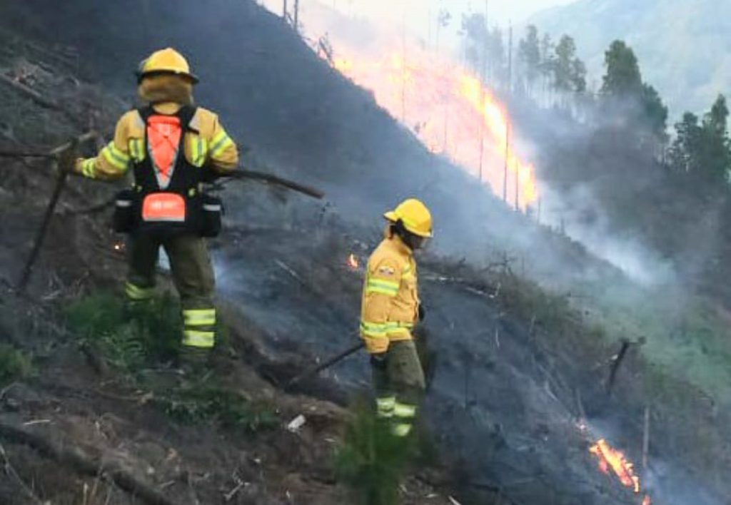 El flagelo ocurrió en la parroquia Chuquiribamba, del cantón Loja.