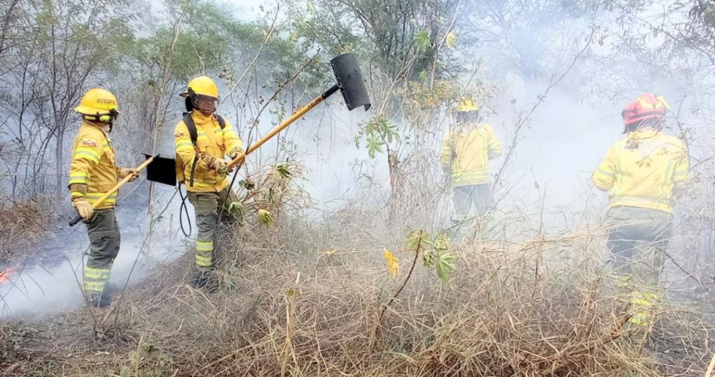 Los casacas rojas de Vilcabamba y Malacatos aplacaron el fuego.