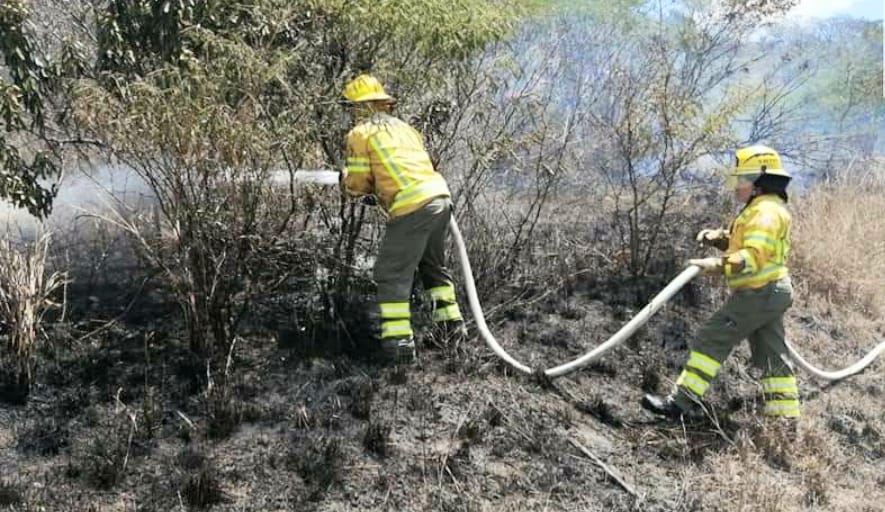 La alerta ocurrió la mañana del último miércoles.