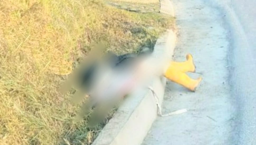 Los policías de la Jefatura de Accidentología Vial (Javial) realizaron el levantamiento del cadáver.