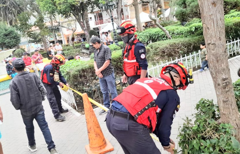 El control de los bomberos fue integral.
