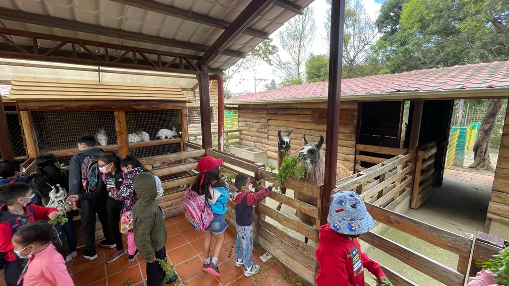 Más de 40 niños participan del curso.