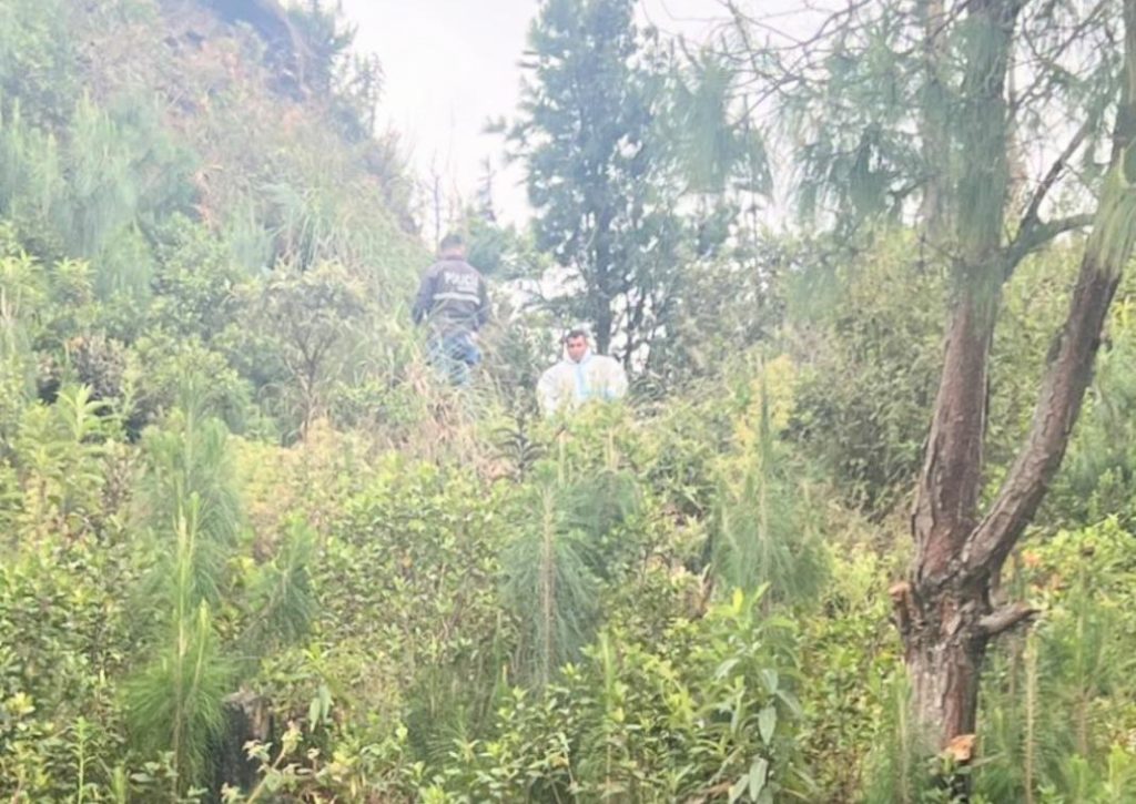 Una mujer que acudió a pastorear sus vacas halló un cadáver.