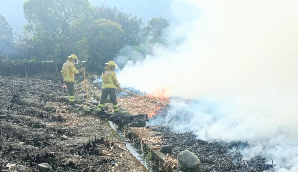 El incendio forestal ocurrió la tarde del último martes.