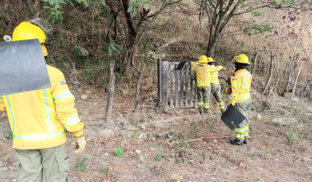 Con batefuegos y azadones se logró aplacar el forestal.